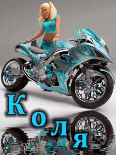 коля 127396520015