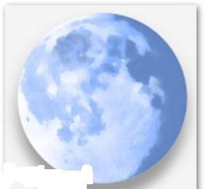 palemoon-11.0.1-installer
