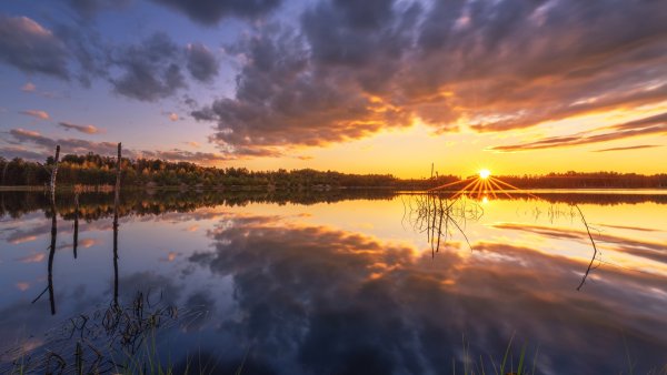file_94354003
