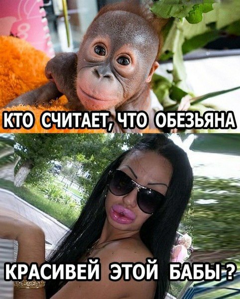 file_81073951