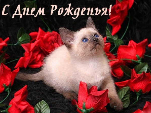 С днем рожденья