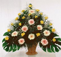 file_85269154