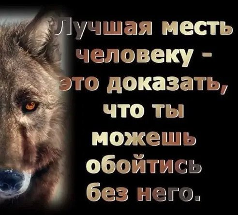 Волк