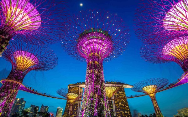 Singapore-Parks-Night (3)