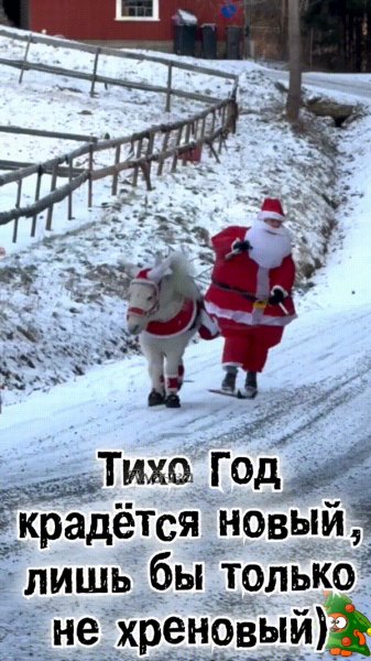 file_98453495
