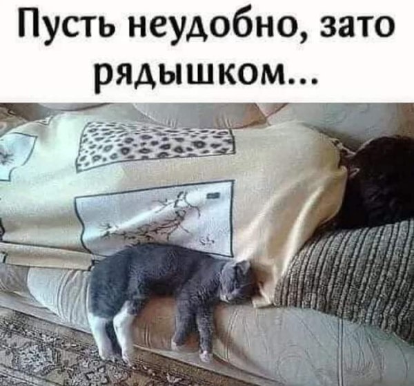 FB IMG 1777488901022