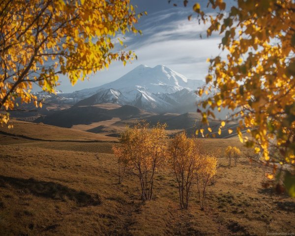 file_95262358