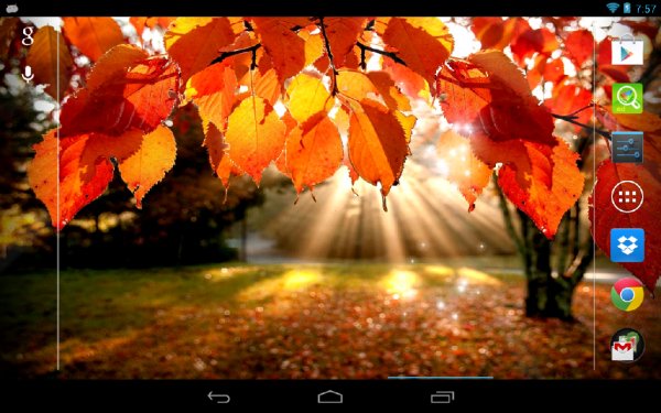 Autumn light