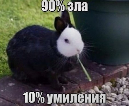 file_76521013
