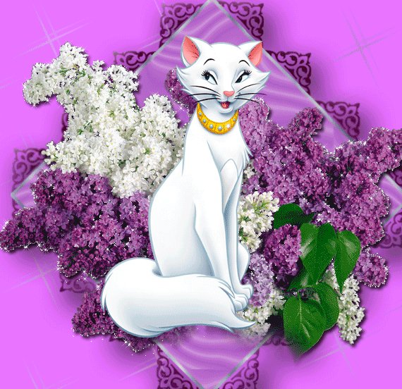 IMG 20190816 043907