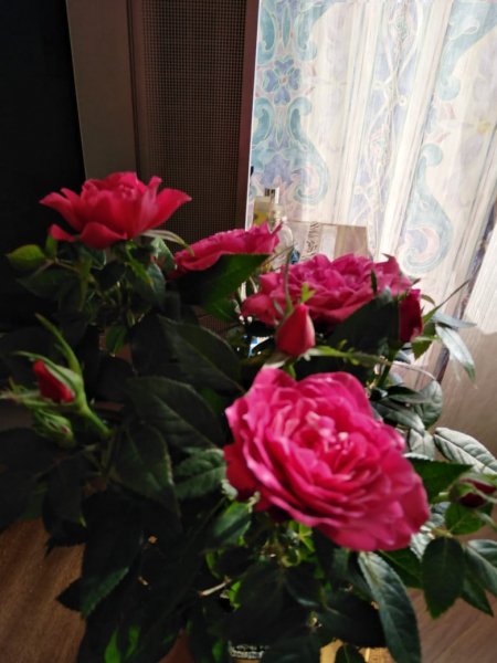 IMG-20220707-WA0007