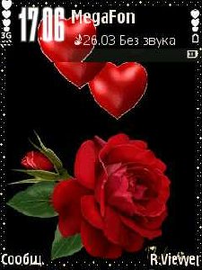 Роза