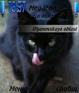Cat blek