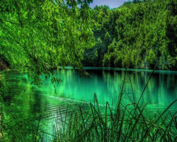природа