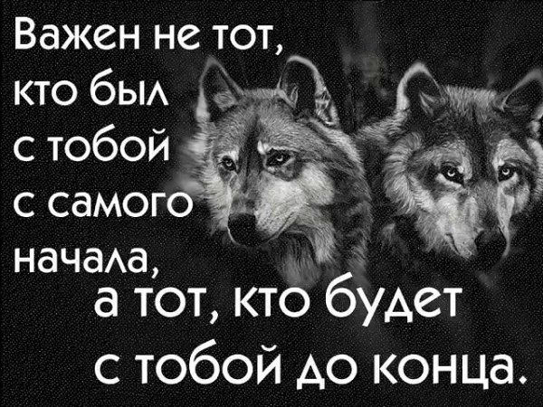 До конца