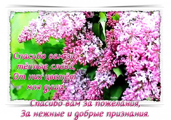 Спасибо вам за тёплые слова то них цветёт моя душа!