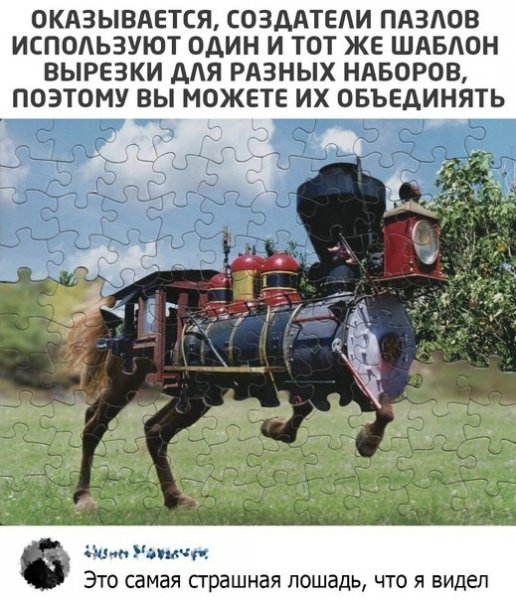 file_103378524