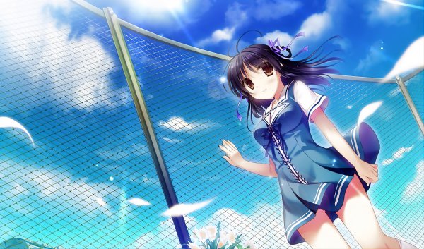file_86276481