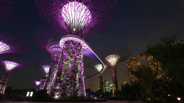 Singapore-Parks-Night (4)