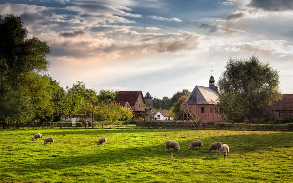 Day on the Farm
