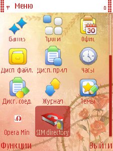 Sim deriktory v100