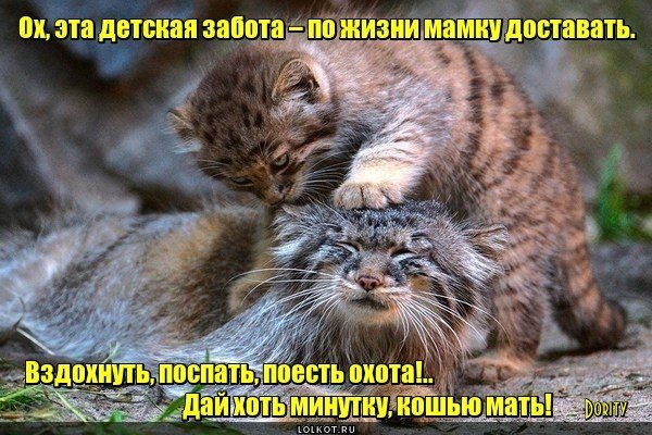 file_74239467