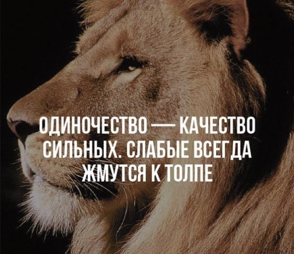 6Ck nTKDFo8
