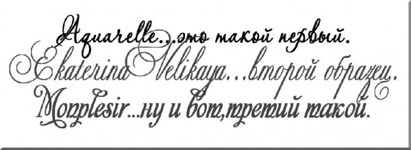 шрифты