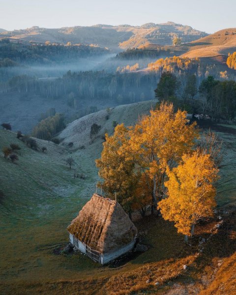 file_92684863
