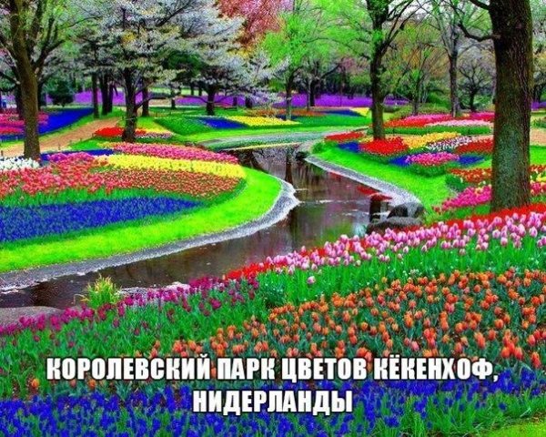красота