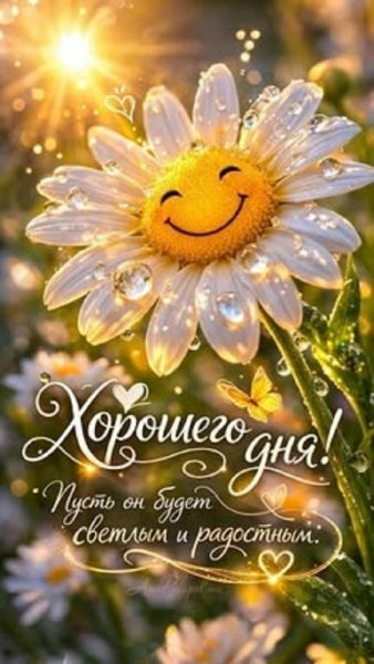 Хорошего дня! ...