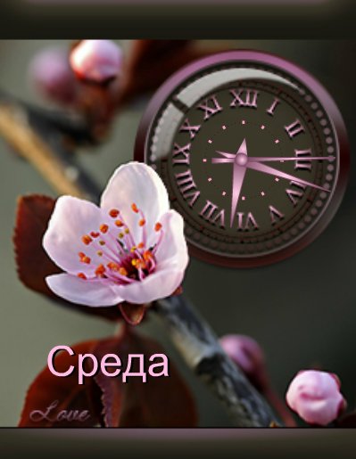 Цветение (Love)