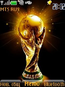 Fifa Cup 2010