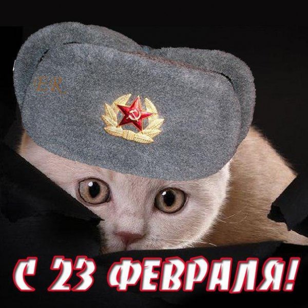 С 23 февраля (7)