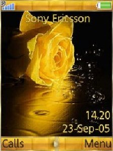 Rose Yellow