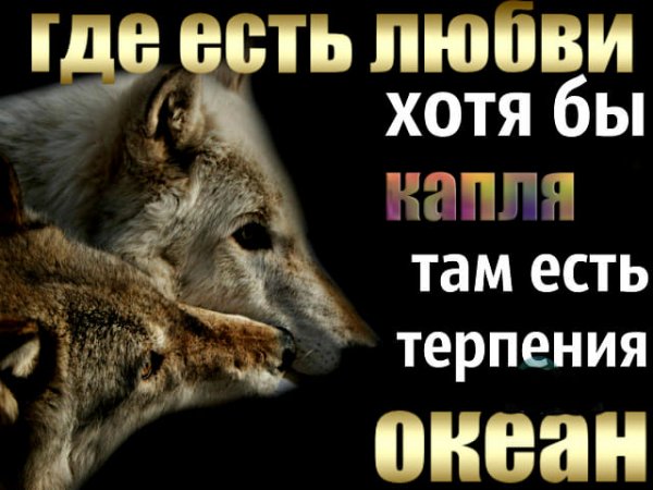 Океан терпения