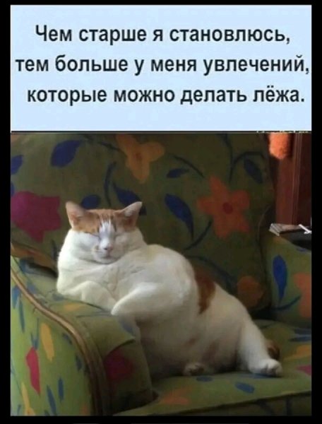 file_103314455