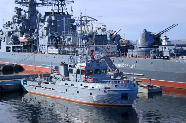 IMG viter59 205654