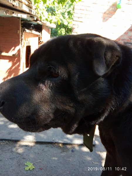 IMG 20190811 104257