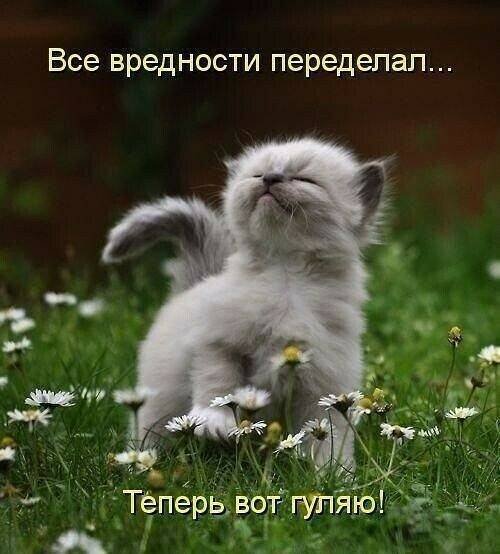file_87362688