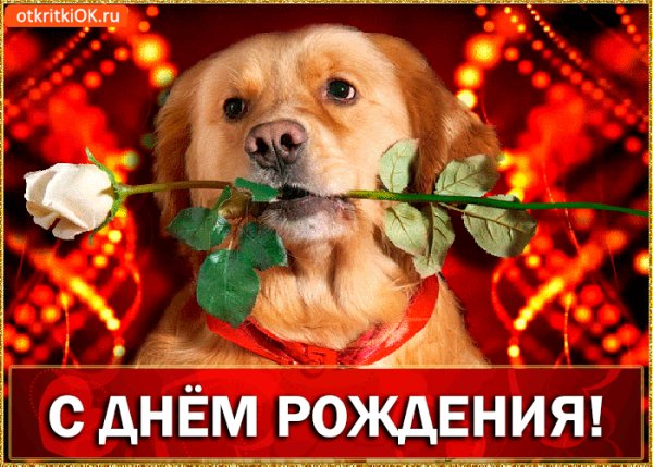 С Днём Рождения!
