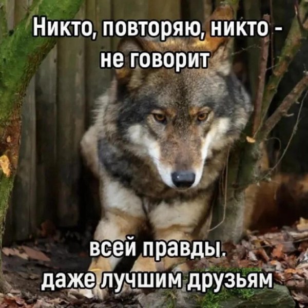 IMG 20220529 095409