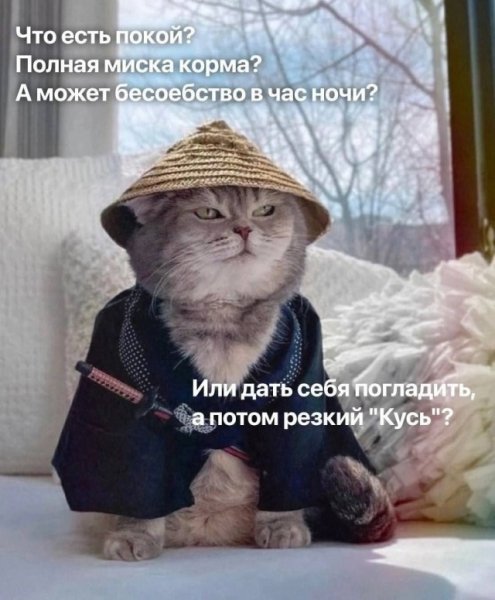 file_99171428
