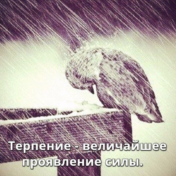 Терпение