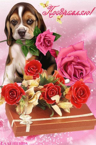 file_62060934