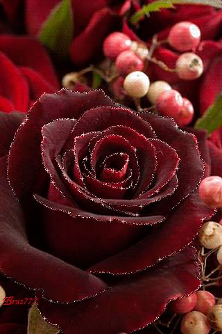 file_53217873