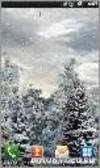 Snowfa live v.1.15 rus