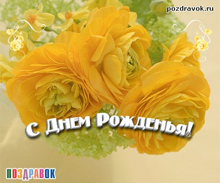 otkrytka-den-rozhdeniya-tsvety-zheltie