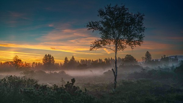 file_96285180