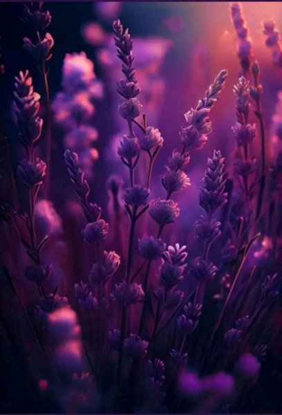 file_96561314